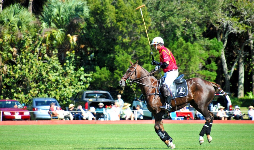 social season guide 2016